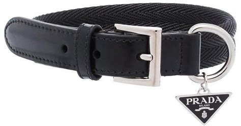 prada dog collar and leash.